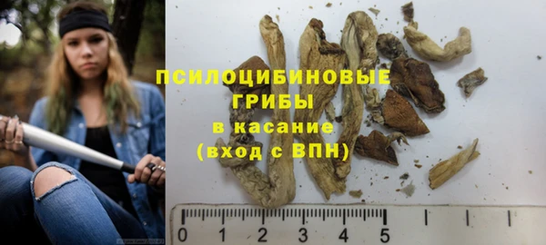 дмт Алексеевка