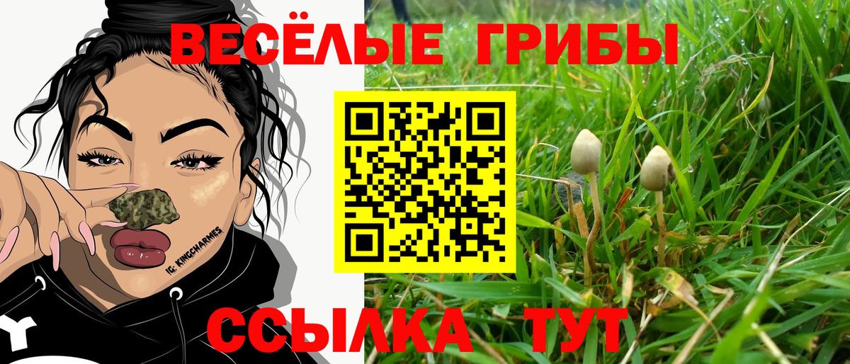 цена наркотик  Псилоцибиновые грибы MAGIC MUSHROOMS  Ржев  Вход с VPN  Галлюциногенные грибы Cubensis 